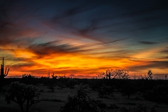 A serene view of the private 20-acre ranch in Arivaca, AZ, with desert landscape and sunset hues.