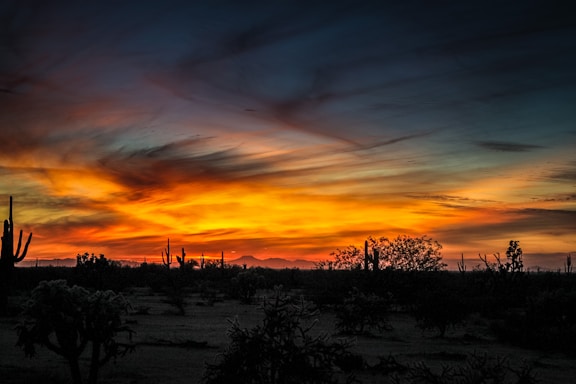 A serene view of the private 20-acre ranch in Arivaca, AZ, with desert landscape and sunset hues.