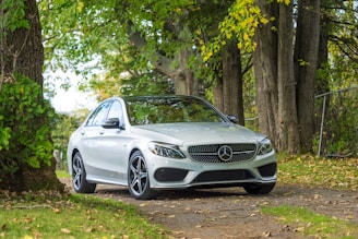 silver Mercedes-Benz car