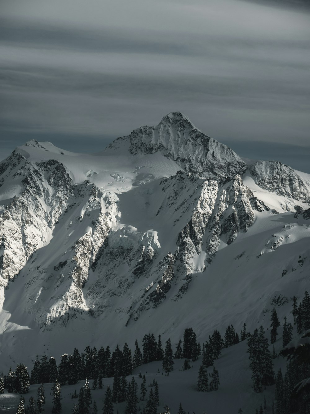 mountains and trees