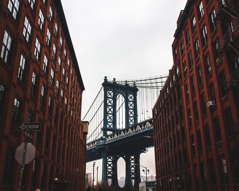 blue concrete bridge