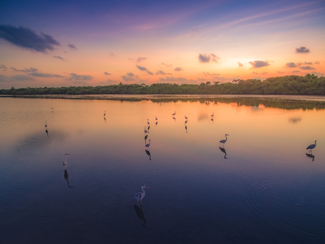 Natural landscape photo spot Bird watch Addu Atoll