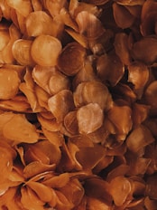 a close up of a bunch of orange flowers