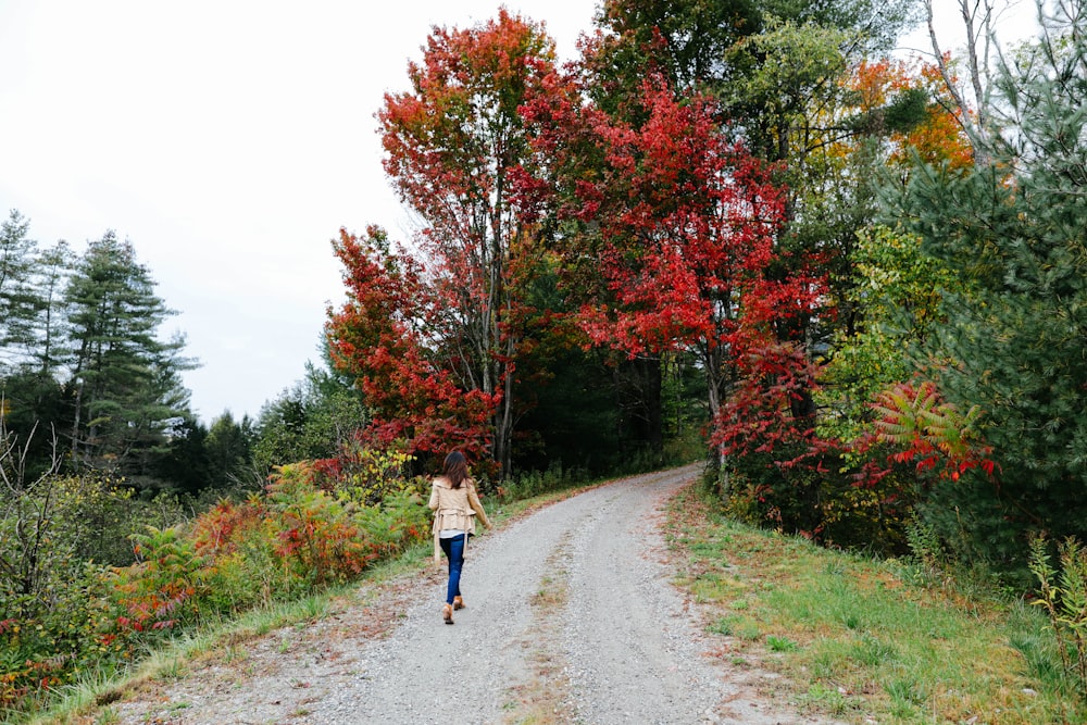 woman walking on pathway between trees