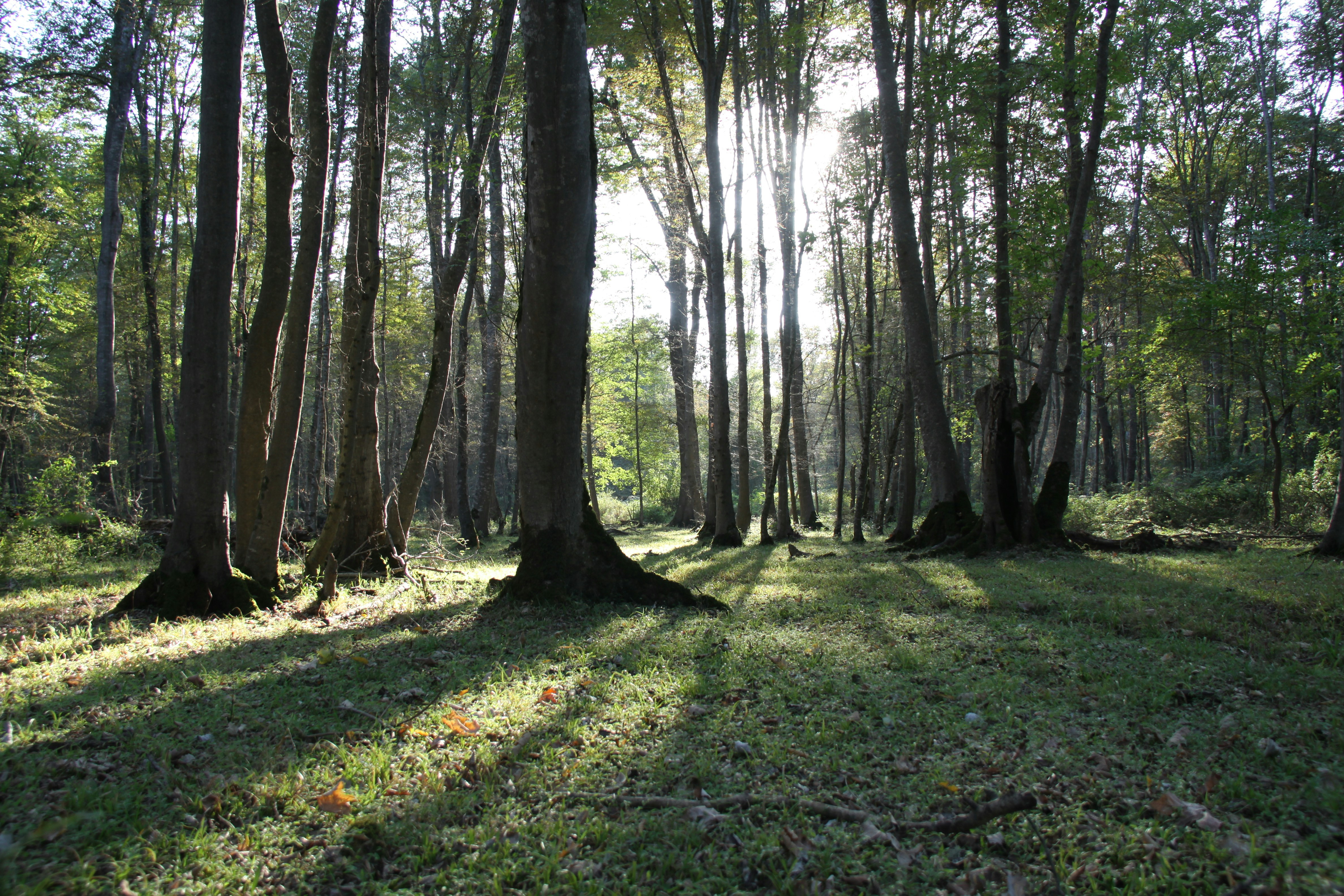 Photo by mohammad1988