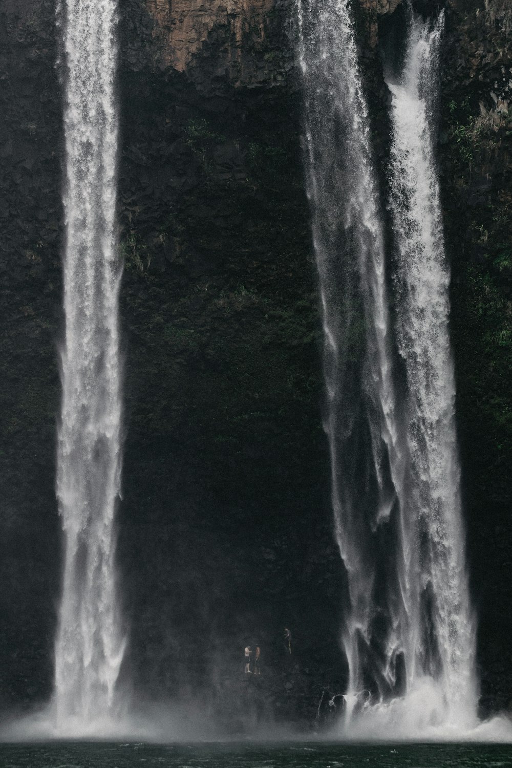 waterfalls near trees