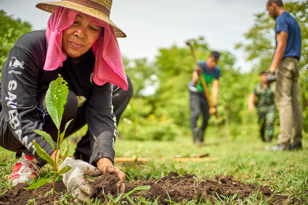 woman planting plant during daytime