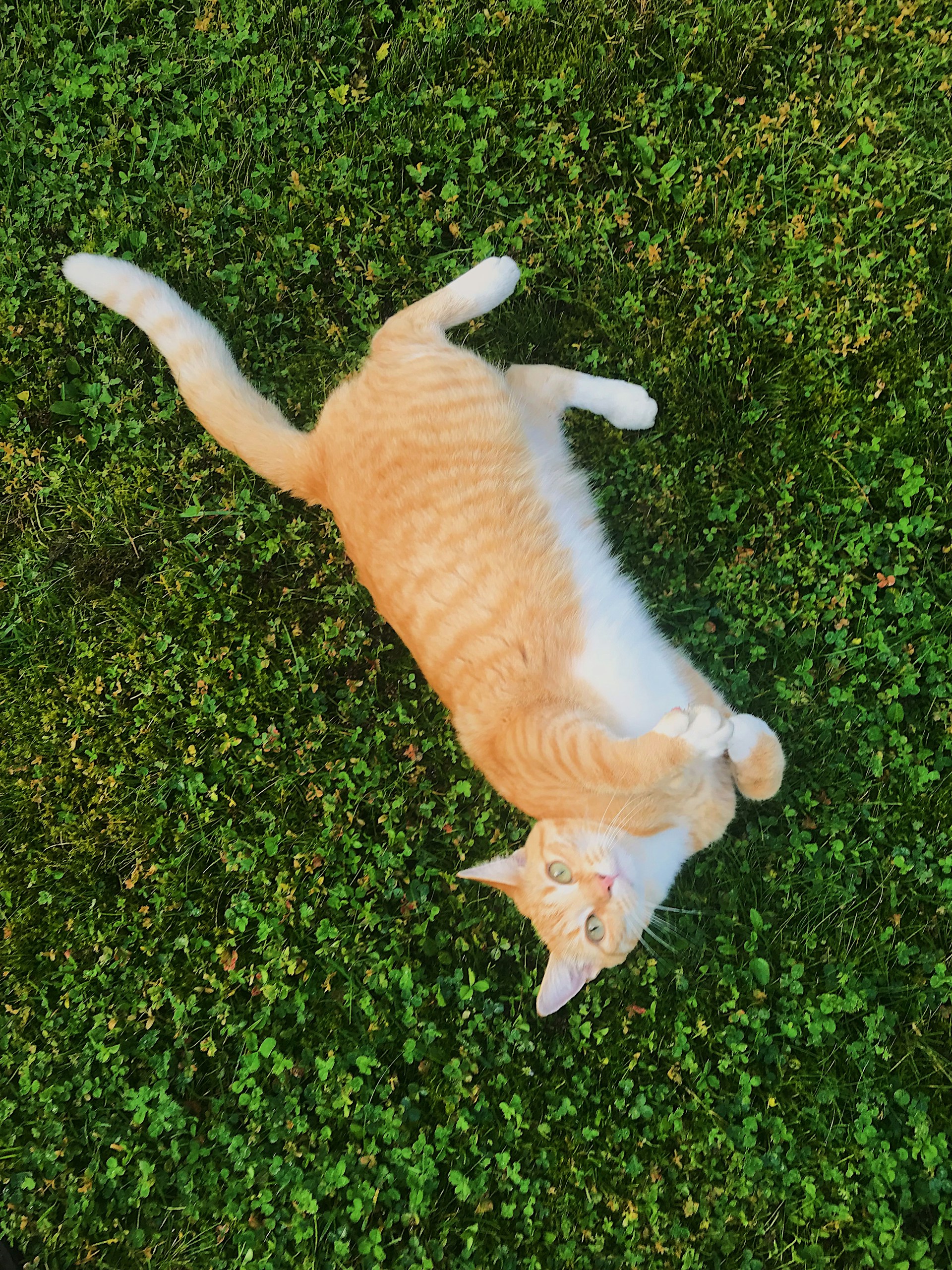woman wearing yellow long-sleeved dress under white clouds and blue sky during daytime