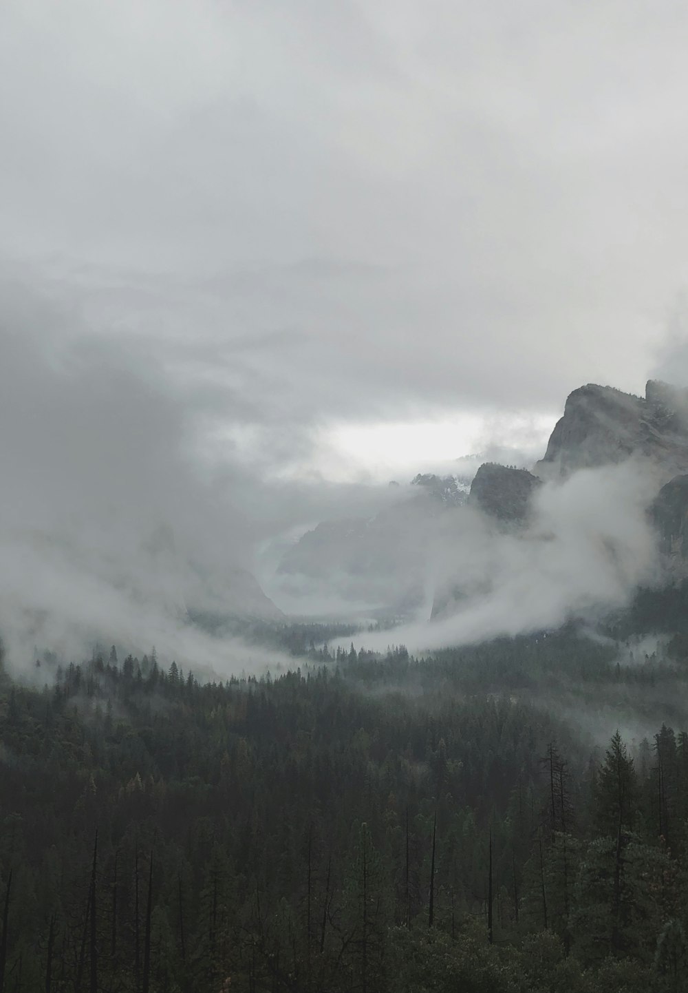 white fog on mountain