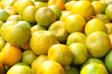 Fresh, vibrant bunches of Egyptian citrus fruits displayed at a local market stall.