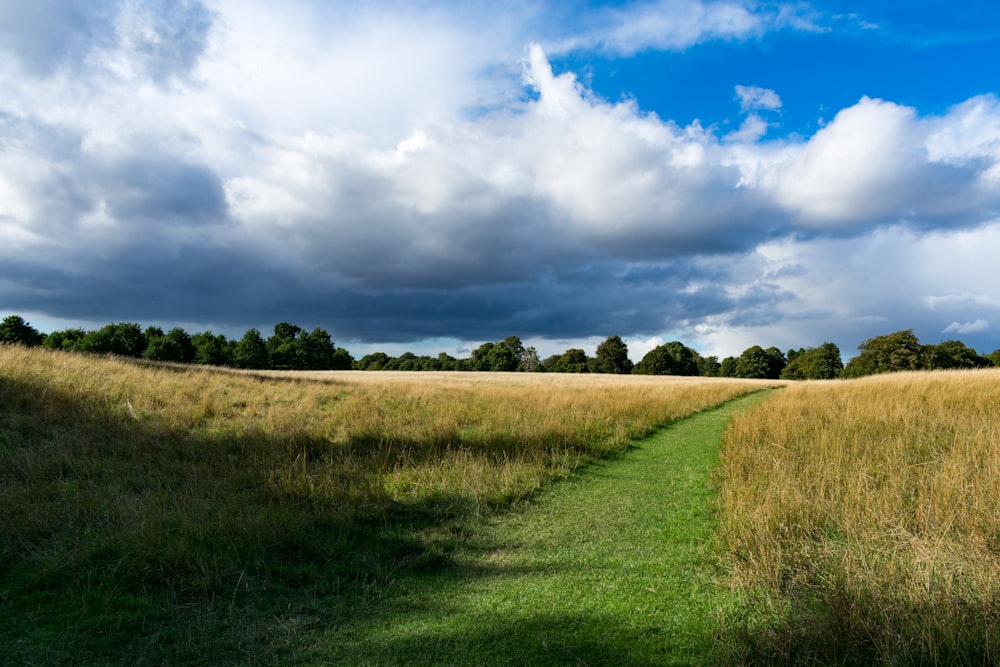 pathway on grass field