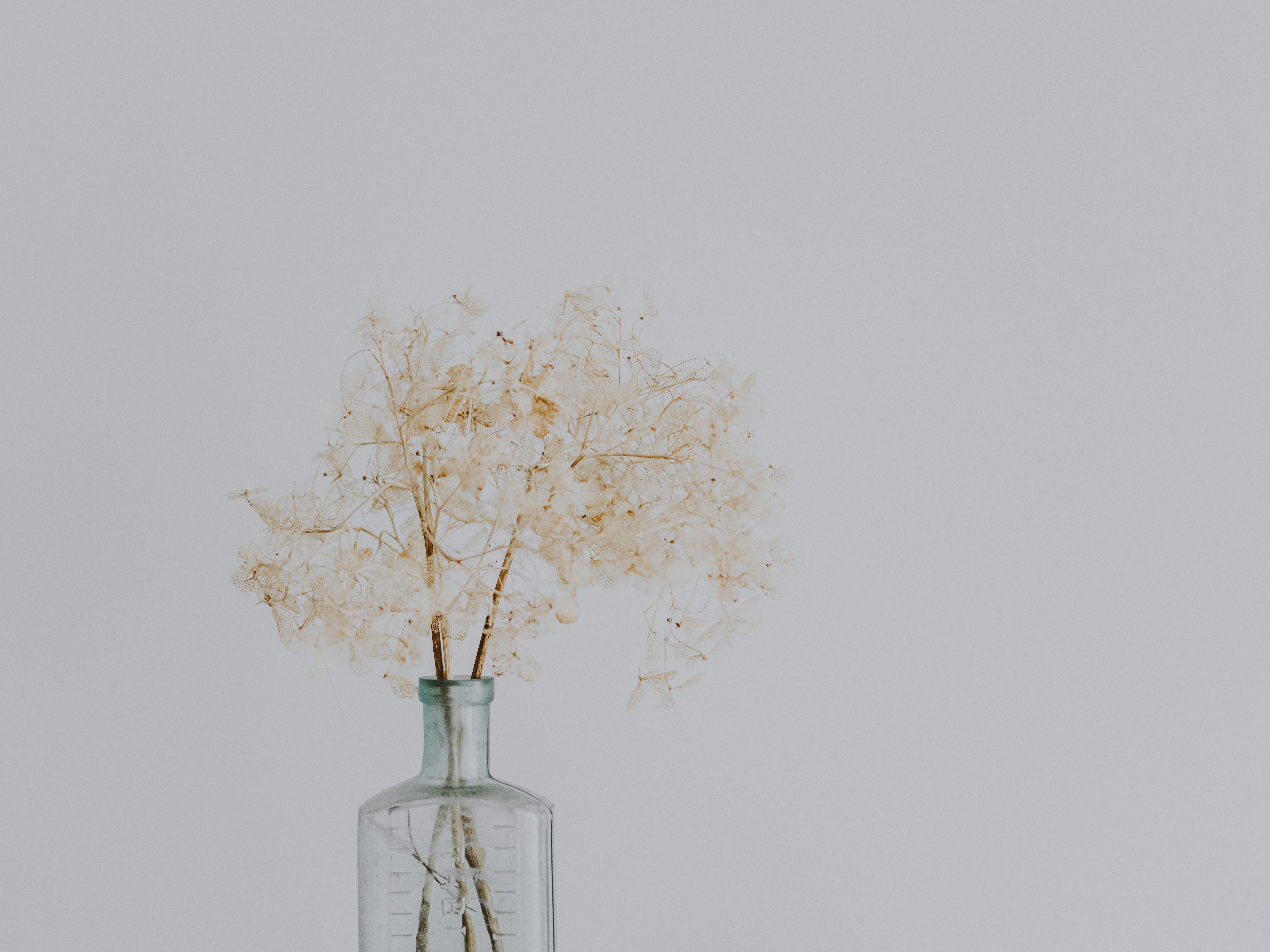 Photo by anniespratt