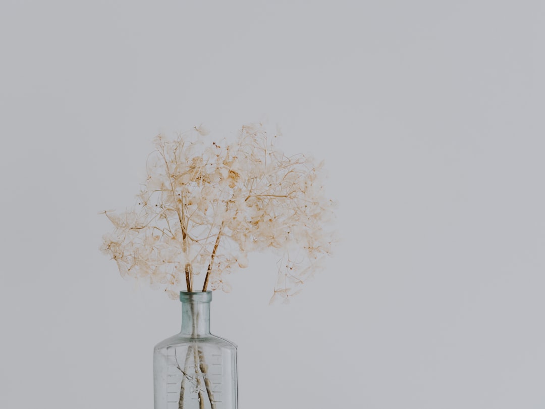 clear glass vase withy beieg flower