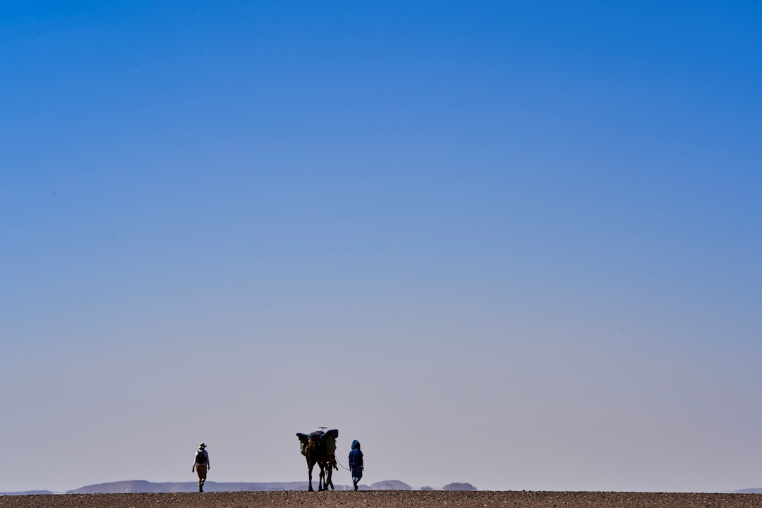 silhouette of two persons walking with four legged animal during daytime