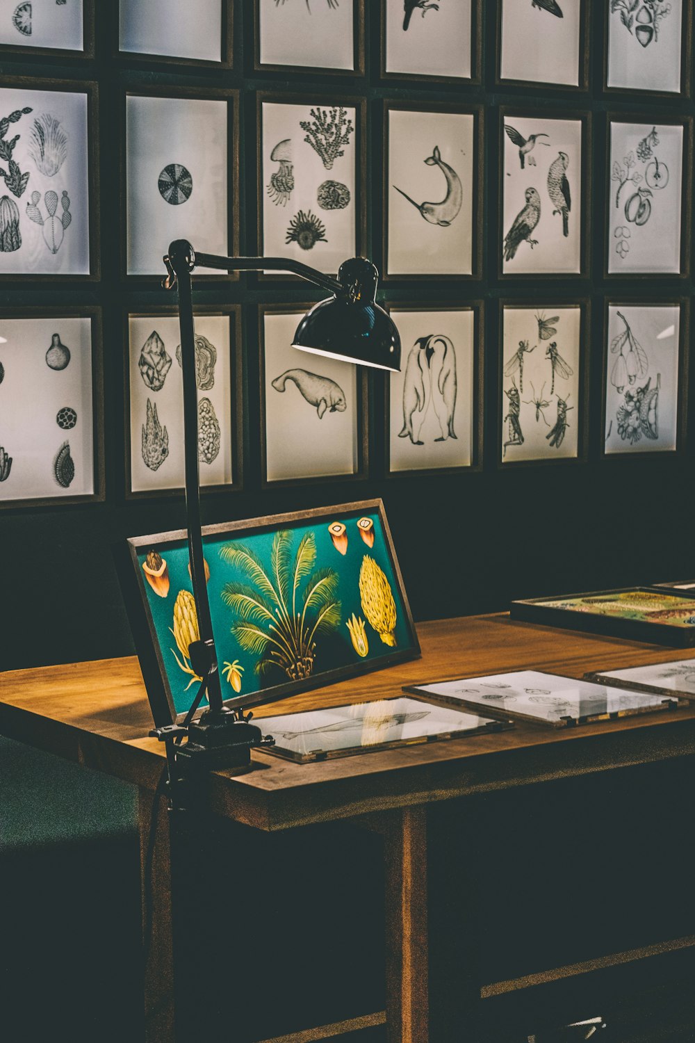 a desk with a laptop on it in front of a wall of drawings