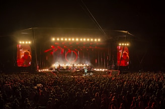a large crowd of people at a concert