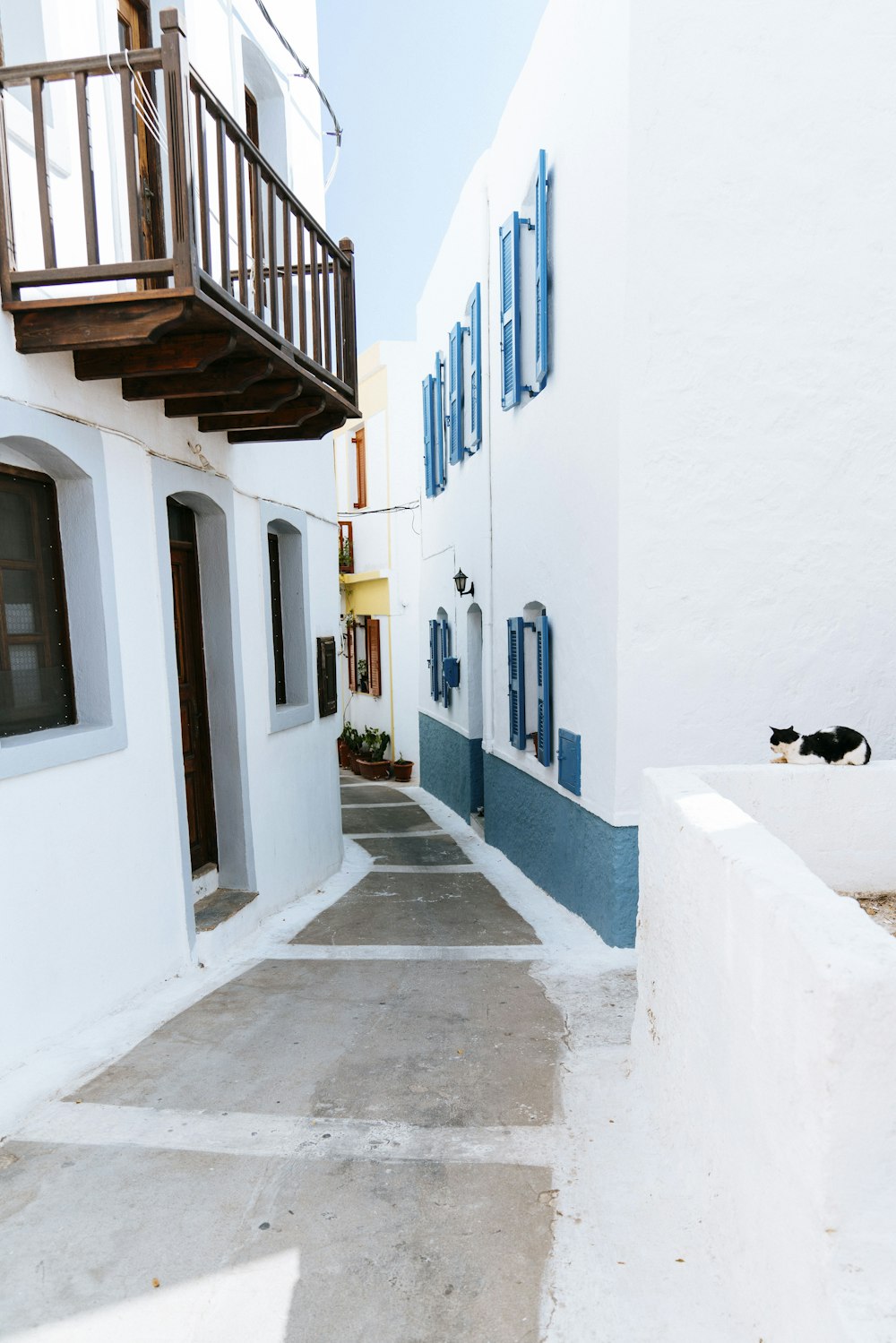 a narrow street with a cat on the sidewalk