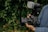 A person is holding a high-end DSLR camera equipped with a large lens and an external flash attachment. The camera is being stabilized with both hands, and the person is wearing a denim shirt. The surrounding background is lush greenery, slightly blurred to keep focus on the camera.