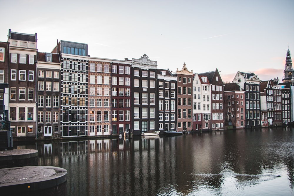 houses by body of water during daytime