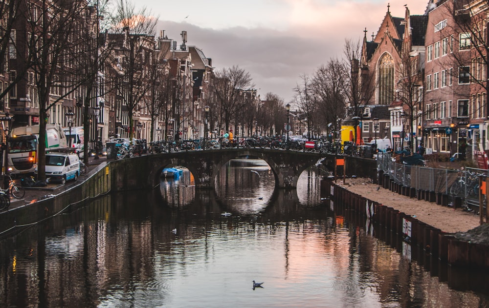 a bridge over a body of water in a city