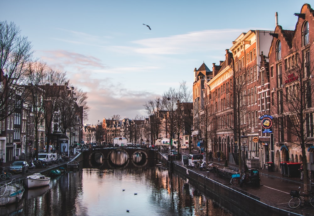 buildings by river during daytime