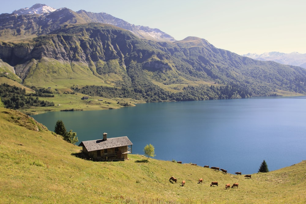 house near lake and mountains