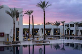 a large swimming pool surrounded by palm trees