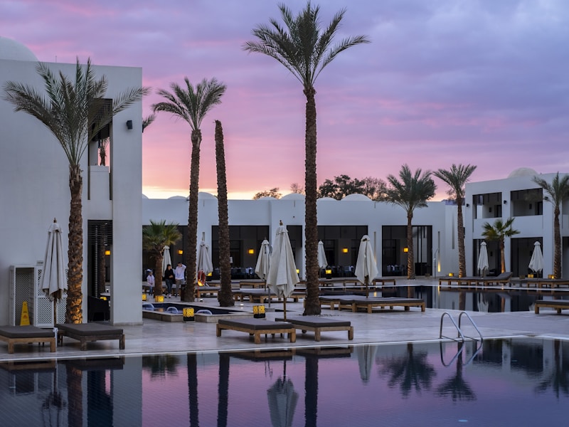 Алтай Палас