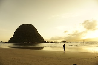man walking near shores