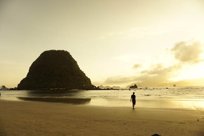 man walking near shores