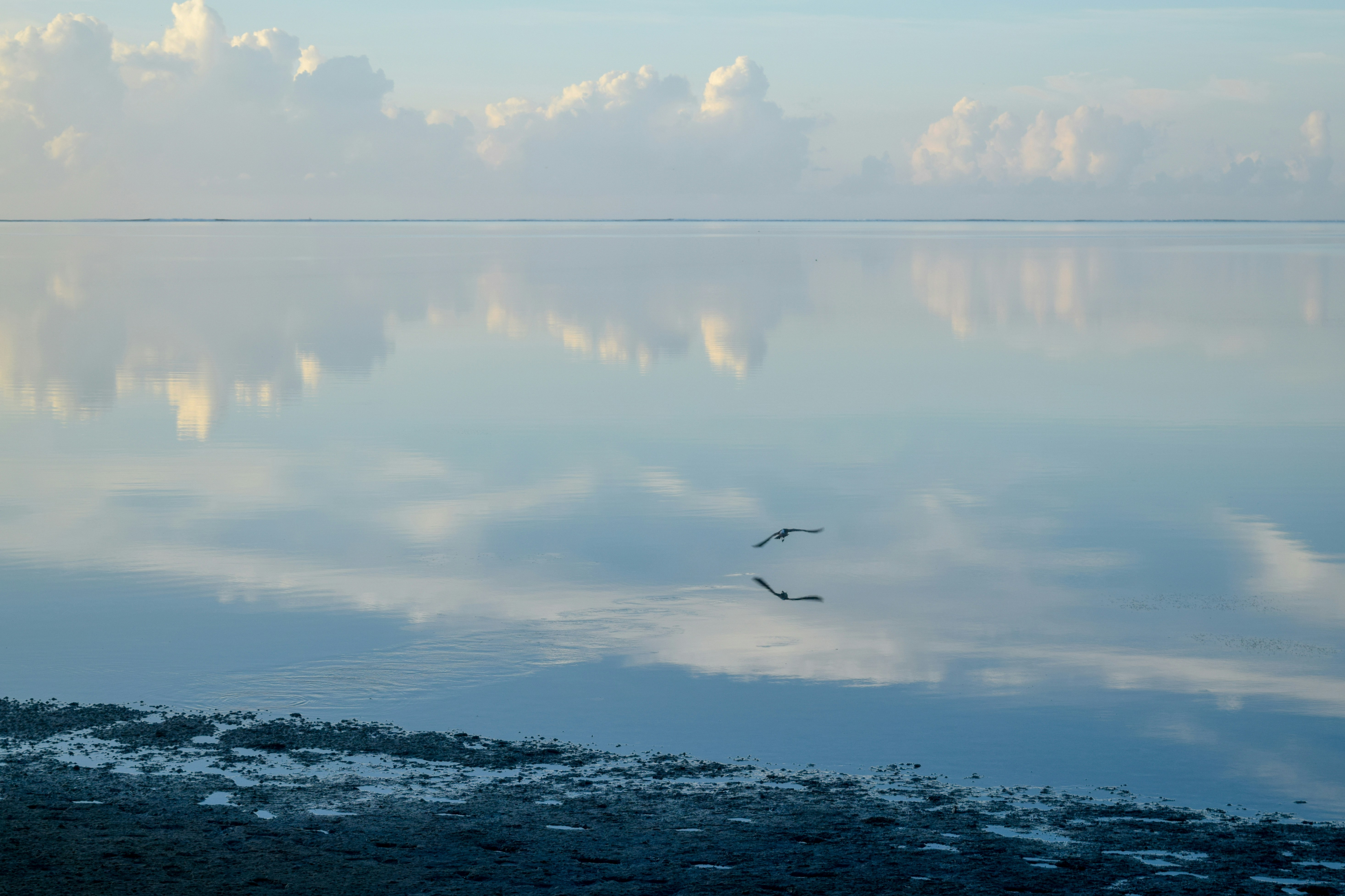 Photo by arshadpooloo