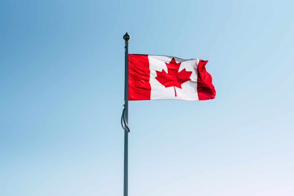 낮 동안 기둥에 캐나다 국기