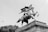 A dramatic statue of a samurai warrior in traditional armor riding a rearing horse, situated atop a stone pedestal. The scene is captured in monochrome, lending a classic and timeless feel. The samurai's posture and the horse's dynamic pose convey a sense of motion and power. In the background, there is a small bird in flight and the tops of lush trees.