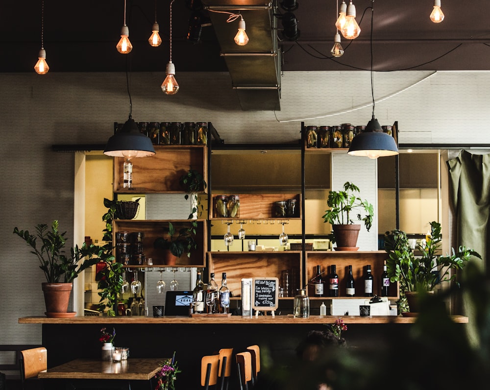 Un bar avec beaucoup de plantes et des lumières suspendues