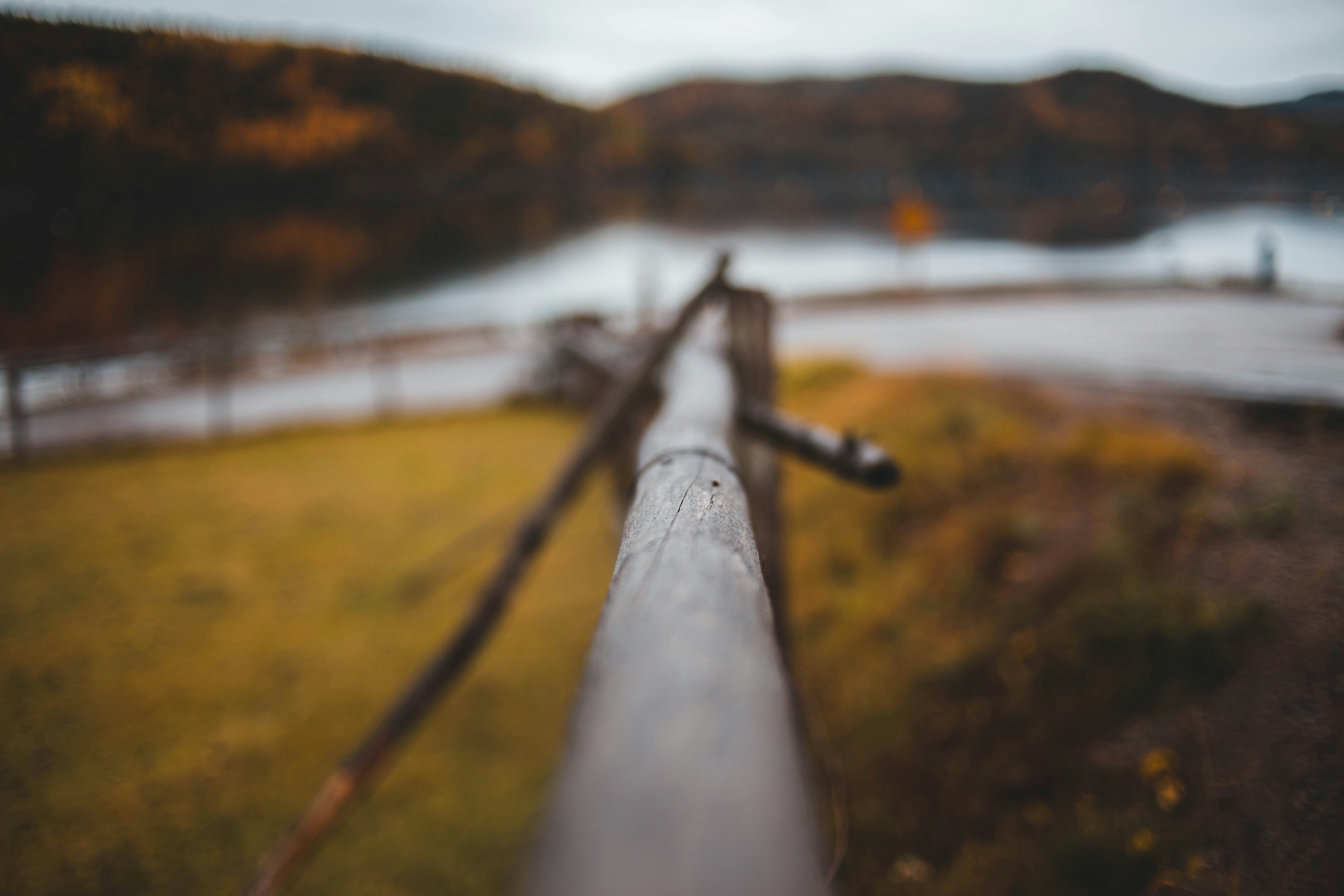 close-up photography of black wooden fence