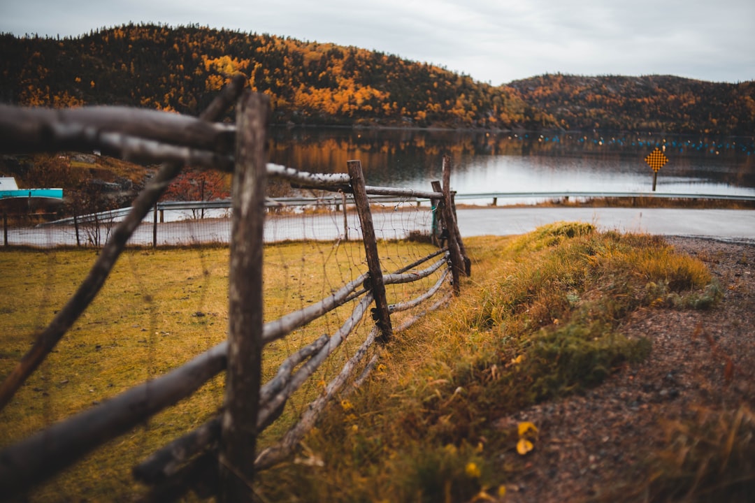 wood fence surrounding field near lake during daytime