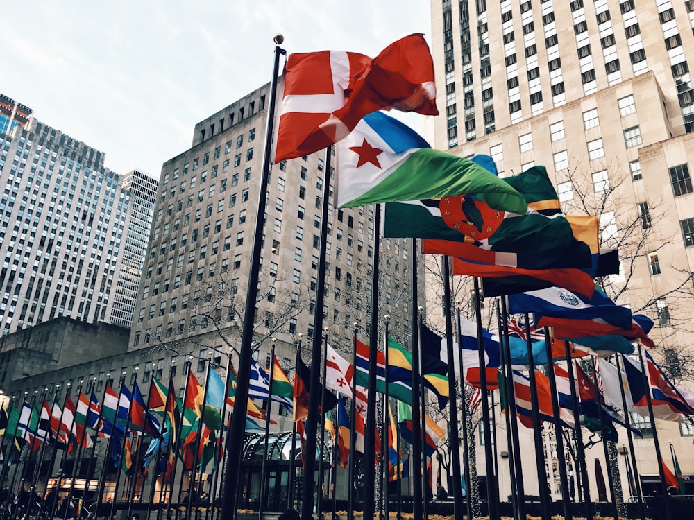 flags on poles near building during daytime