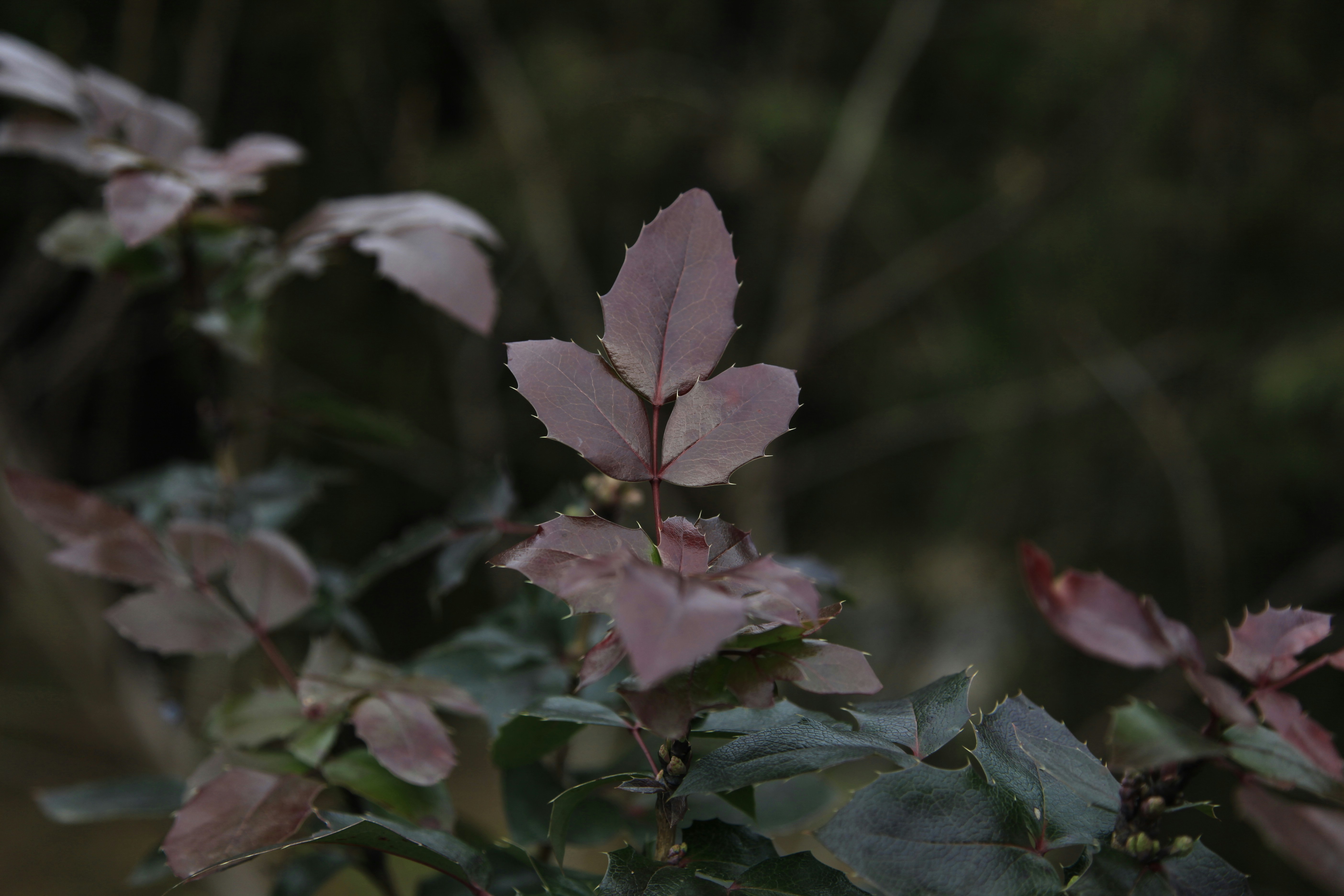 Photo by christycamera