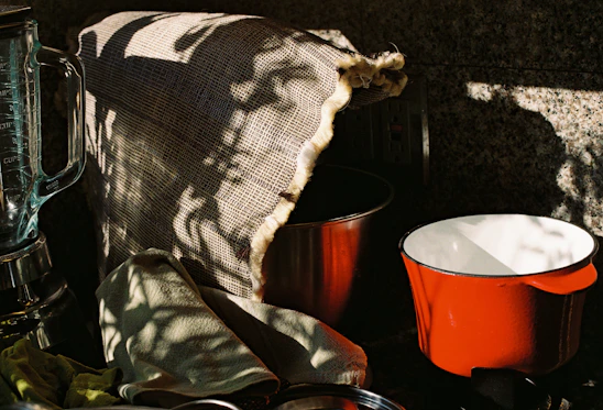 Close-up of hands preparing fresh ingredients next to a sleek kitchen blender with soft natural light.