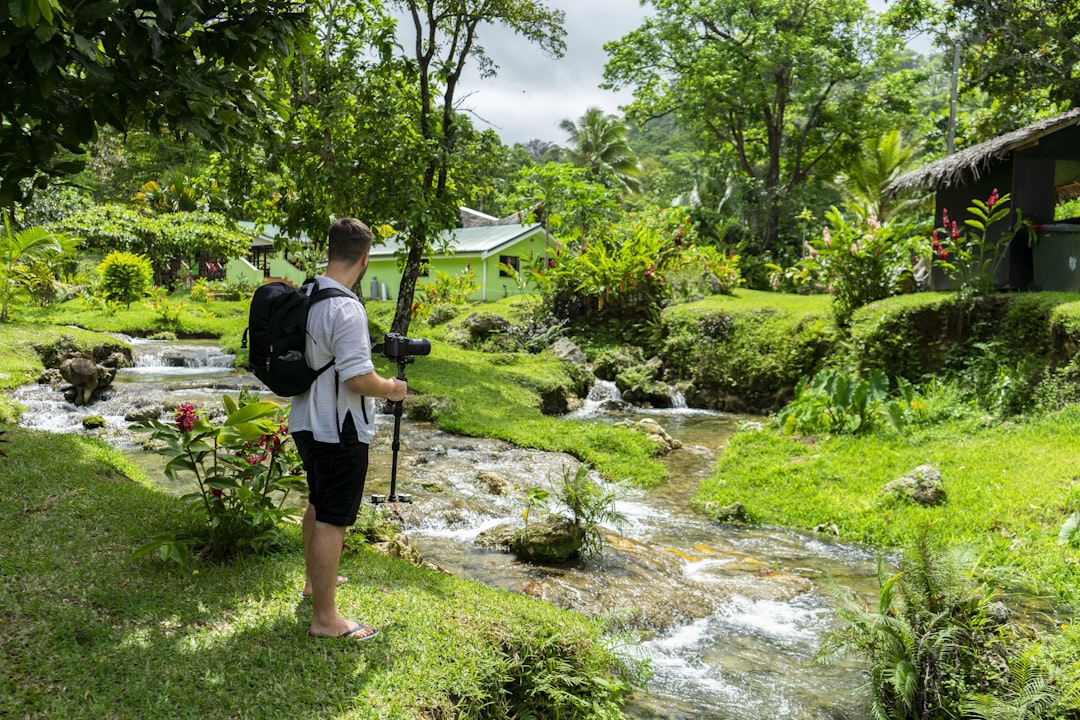 Vanuatu's Air Vanuatu Faces Privatization Amid