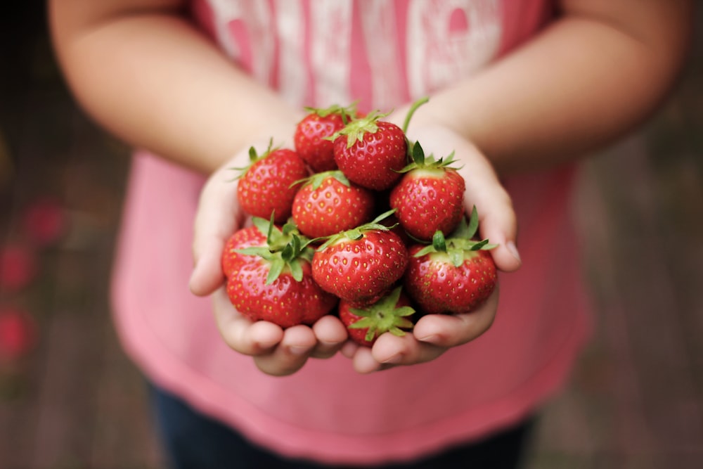 person holds ripe strawberries