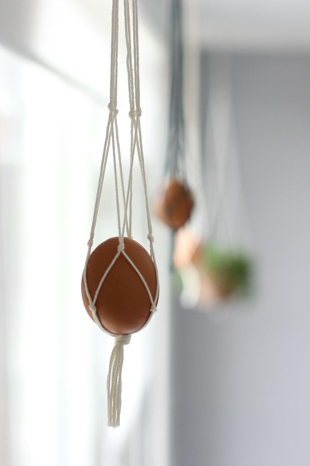 brown hanging egg