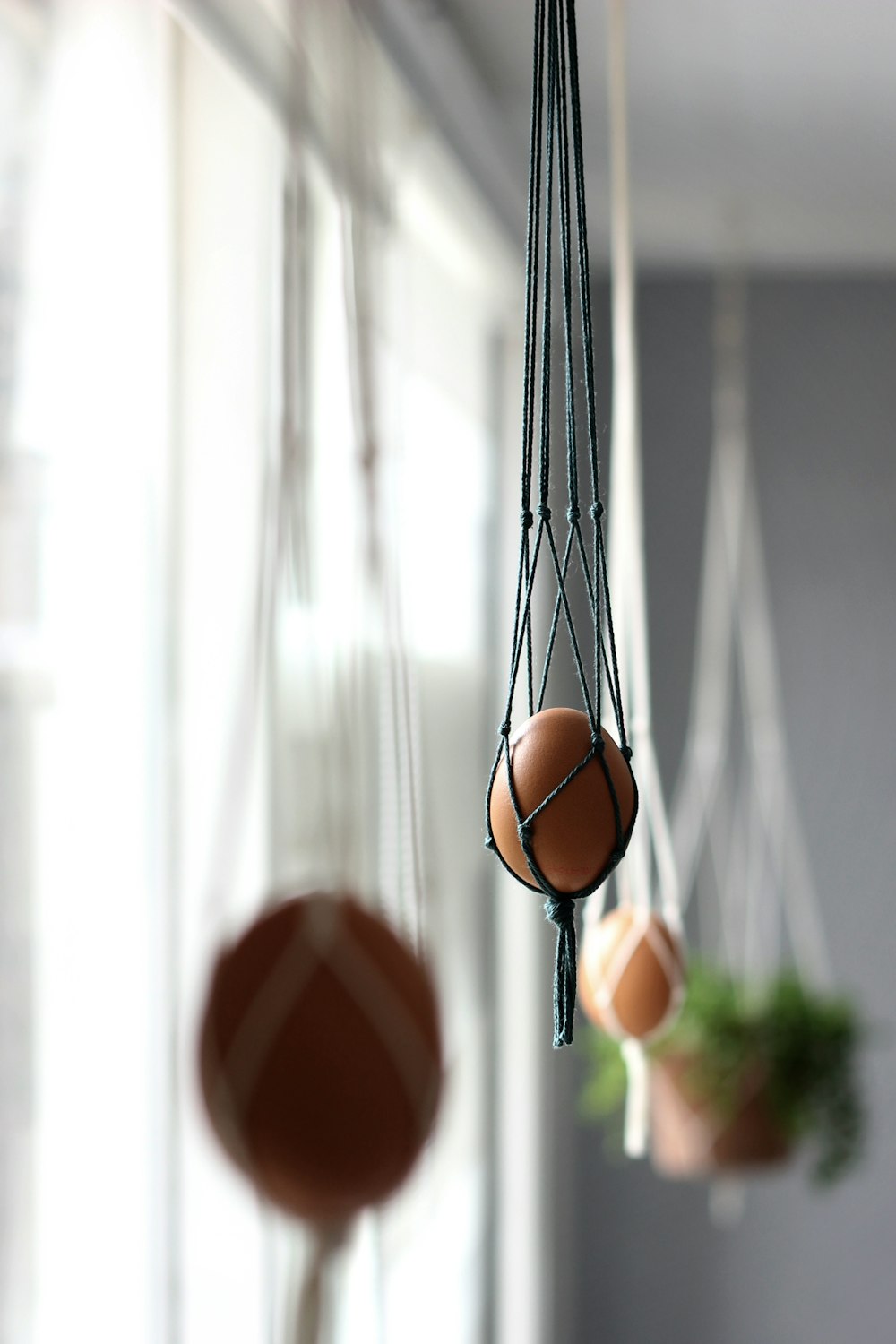 hanging organic egg beside window