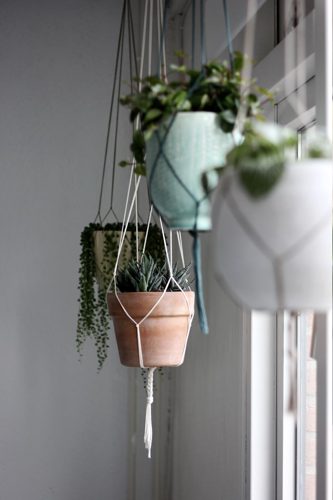 Leafy Macrame Plant Hanger