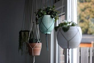 white hanging flower pot