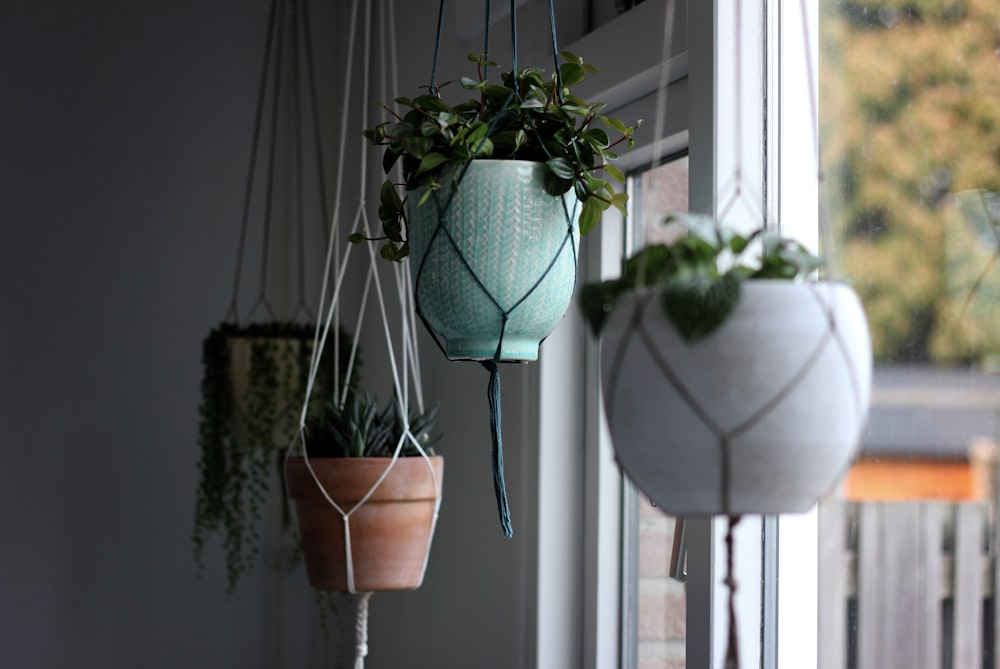white hanging flower pot