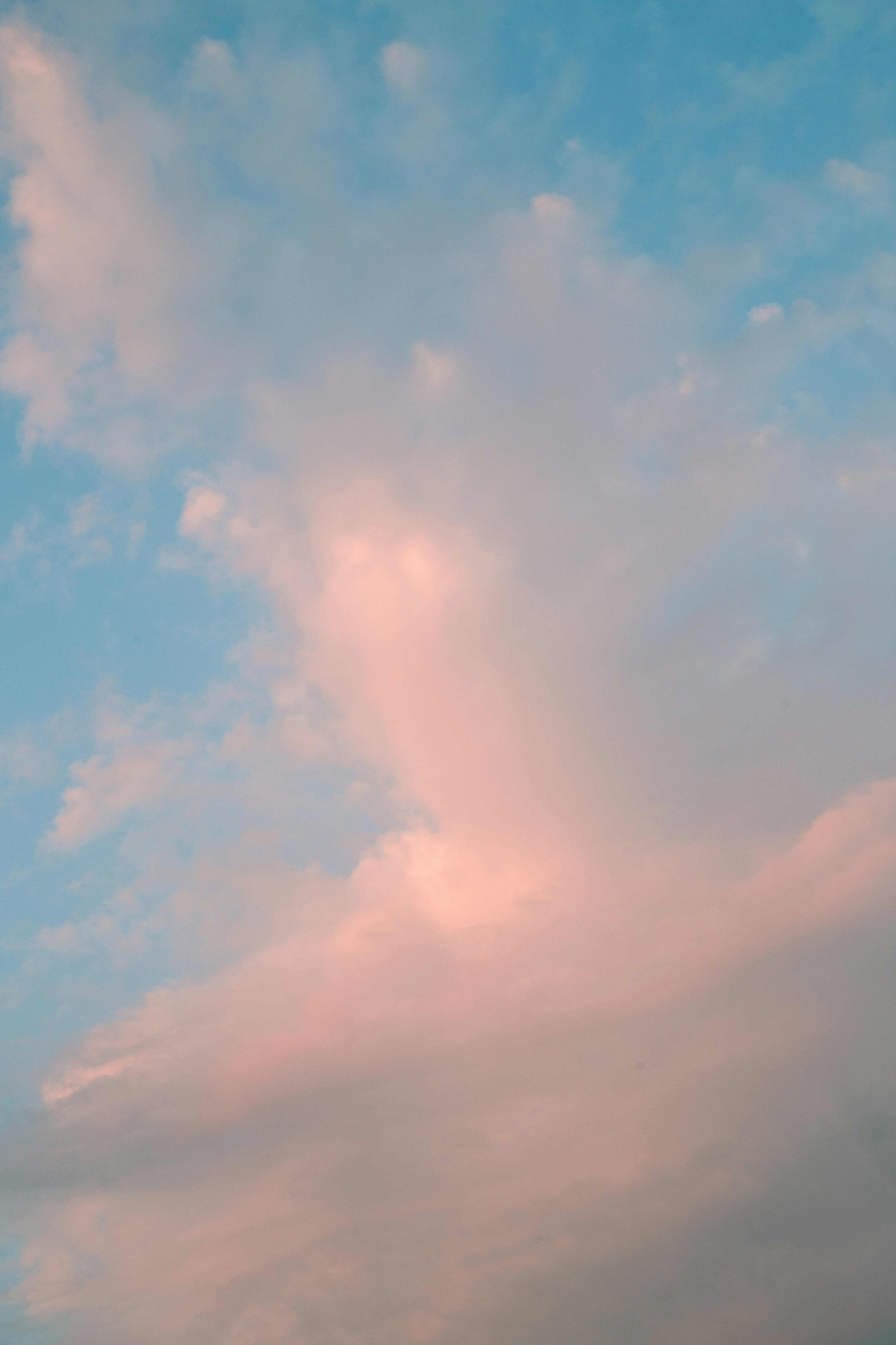 Photo by lysanderyuen