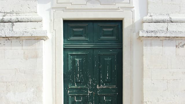 Fridge door