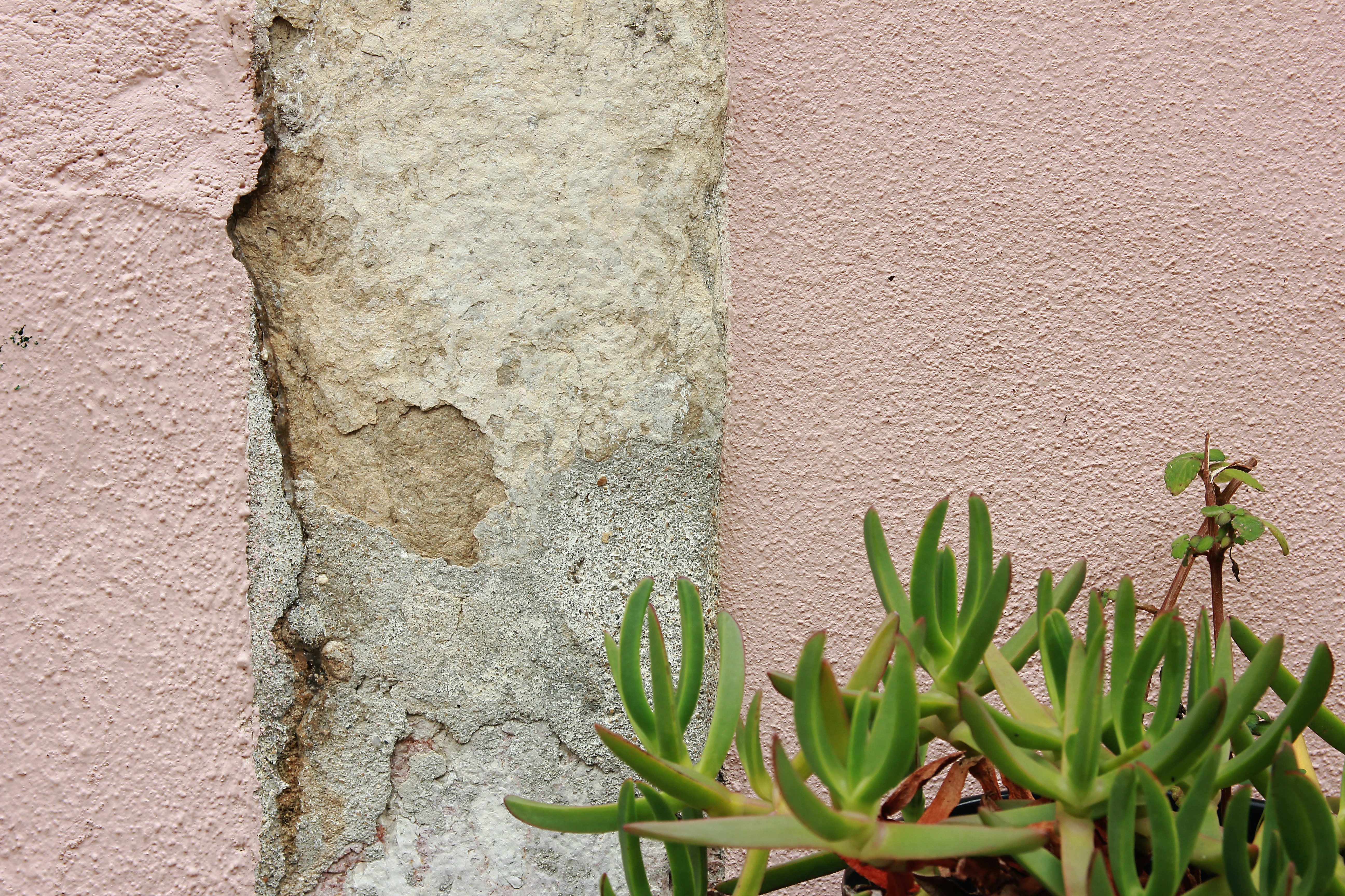 8 Home Repair Tutorials for Removing Mold from Walls