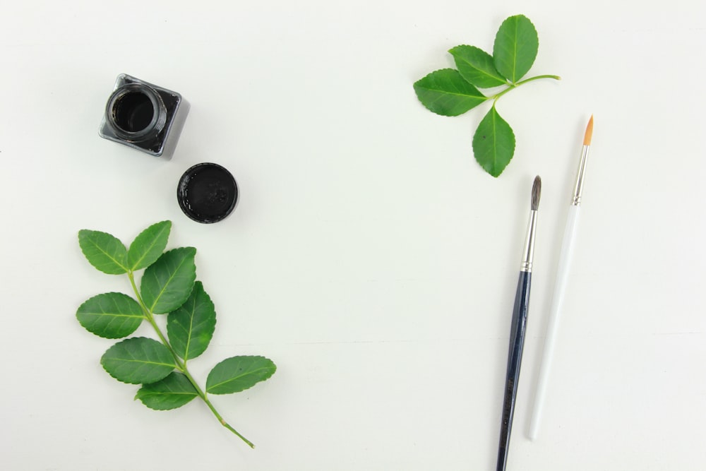 green leaves and two white and black paint brushes